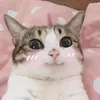 ngocnganngo1195