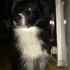 finley.hj