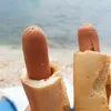 doggydaysarehere