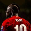 marwanshawky141