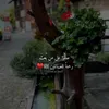 roro..05