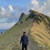 cimmang185