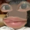 mydiuchuche