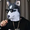 usery8n8j2zlf8