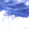 tmt696290061