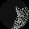 miran.marewan1
