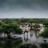 balwaanjire