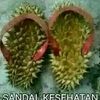 masrudyan