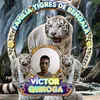 victorquirogaa91