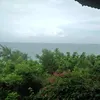 trung38kt