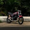 kingmalika135cc