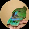plumistyles