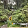 random_posts_original