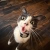 jumpoutthehouseenjoyer