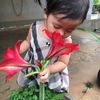 hoahong0463