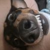 tonkatruck_