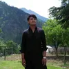 dilbar111567