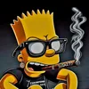 boggit3068