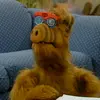 _______alf________