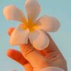 alyasmeen255