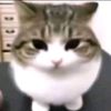 ioiokungg