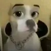 ___melissa3