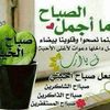 user018393054