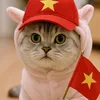 🇻🇳Quàng thượng🇻🇳