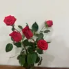 coc.com01