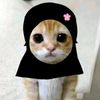 dina_fullsenyumm