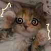candyca.fsn