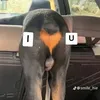 .qhuy.com