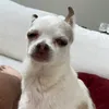 mike_whiskey3