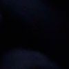 carol.442ns