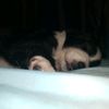 totopo_0446