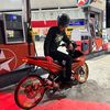 Syedputra