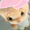 flowerpuff985