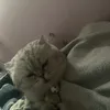 minhusauuuu