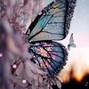 _noor_sy0