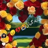 nazek_soran