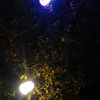 fuaterenekinci