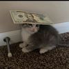 lalo_1047