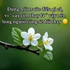 ththuan3463
