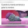 _lmatie