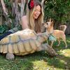 Tilly G The Tortoise