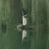ausushshshhs