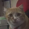 meomuop.888