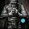 usersamirr3