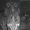 dino_en_detente