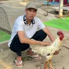 tinlu14